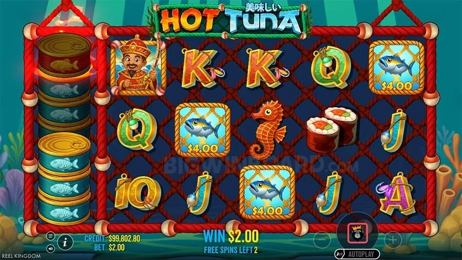 nustargame Avoiding Common Betting Mistakes